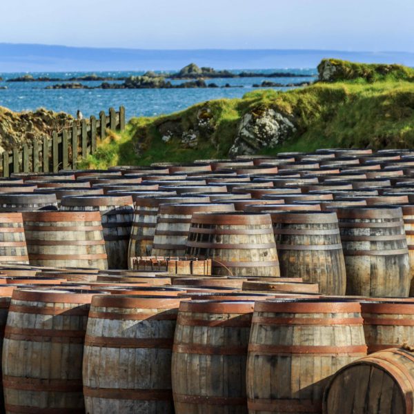 Scotch,Whisky,Barrels,Lined,Up,Seaside,On,The,Island,Of